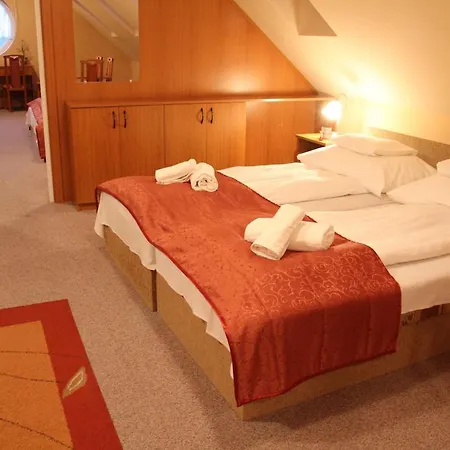 招待所 派兹奥温泉酒店