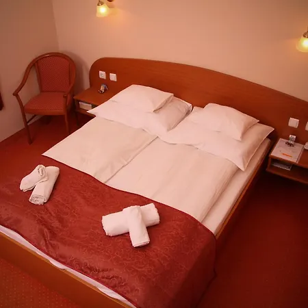 招待所 派兹奥温泉酒店 4*