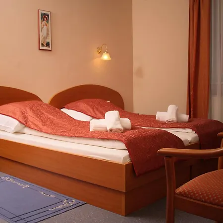 派兹奥温泉酒店 4*