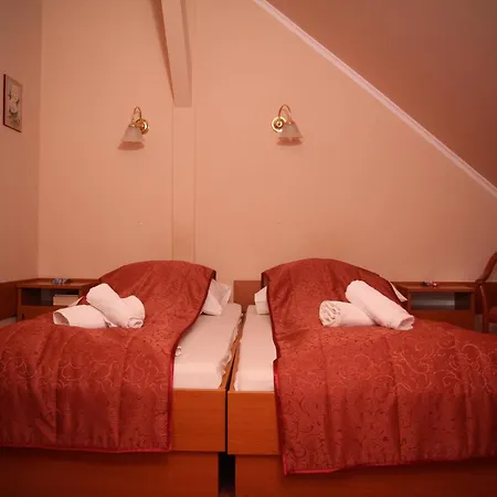 派兹奥温泉酒店 招待所 Mórahalom