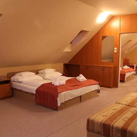 派兹奥温泉酒店 4*