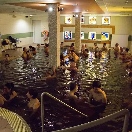 派兹奥温泉酒店 4*