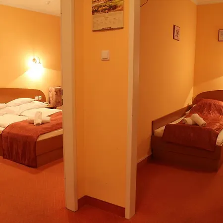 Pensionat Thermal Panzio 4*
