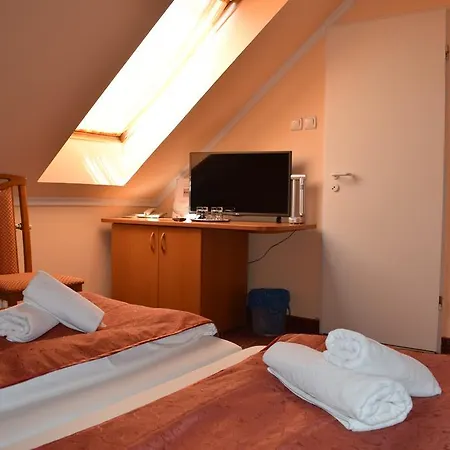Thermal Panzio Pensionat 4*