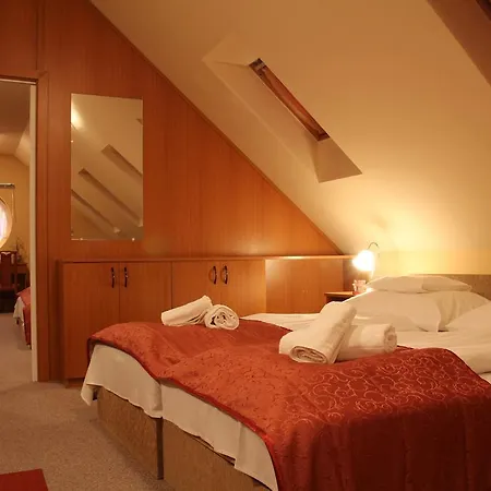 Casa de hóspedes Thermál Panzió