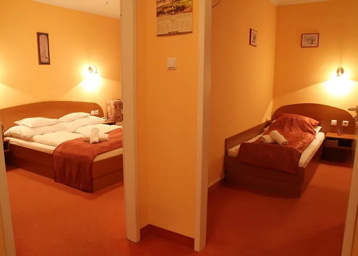 Vendégház Thermál Panzió 4*